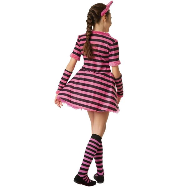 BC1645-1 - Image 2